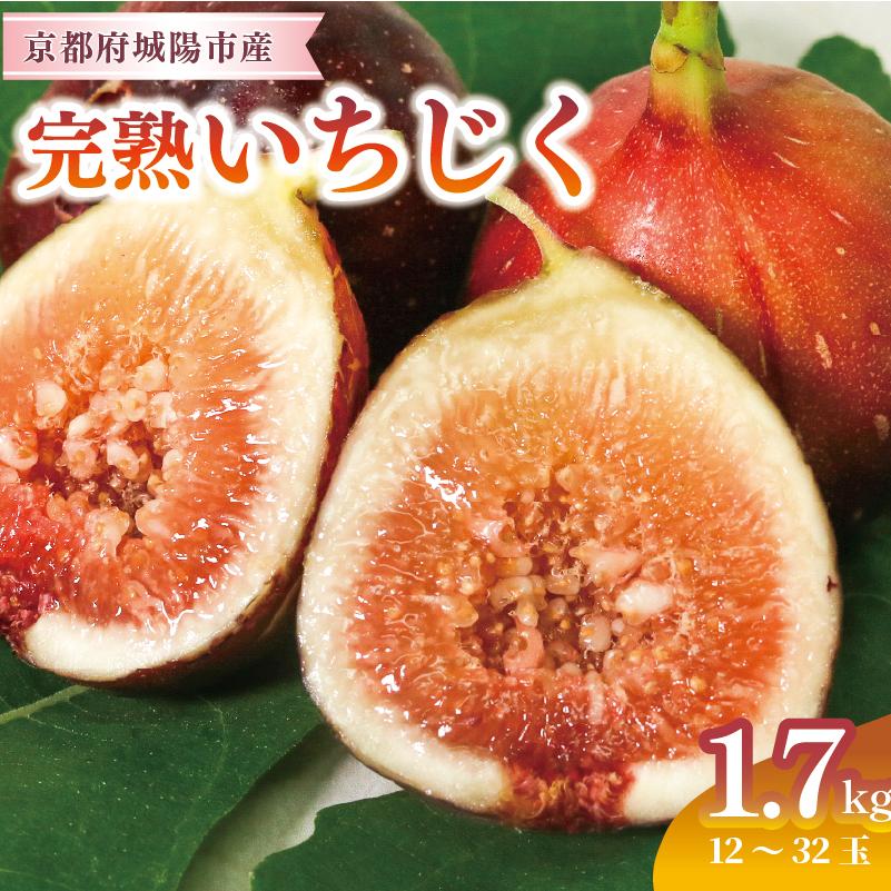 ふるさと納税 城陽市 完熟いちじく 約1.7kg (12〜32個目安) 5L〜Mサイズ | 