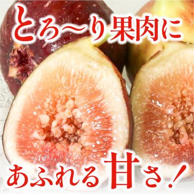 ふるさと納税 城陽市 完熟いちじく 約1.7kg (12〜32個目安) 5L〜Mサイズ |  | 01