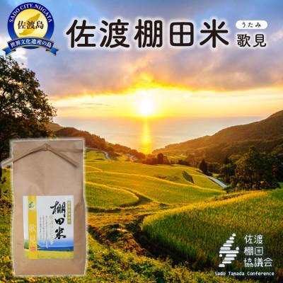 ふるさと納税 佐渡市 佐渡島産コシヒカリ 歌見棚田米 白米2kg(2kg×1袋)[令和7年産]精米