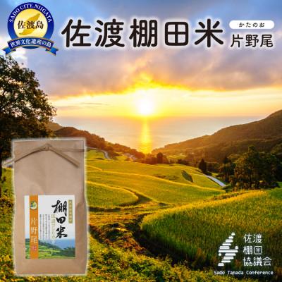 ふるさと納税 佐渡市 佐渡島産コシヒカリ 片野尾棚田米 白米2kg(2kg×1袋)[令和7年産]精米
