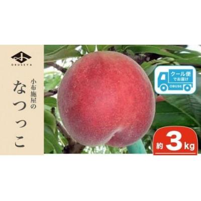 ふるさと納税 小布施町 なつっこ(白桃) 約3kg 7〜12玉