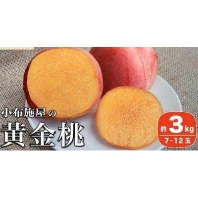 ふるさと納税 小布施町 黄金桃 約3kg 7〜12玉