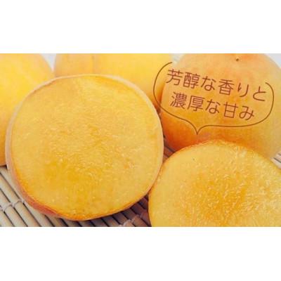 ふるさと納税 小布施町 黄金桃(有袋) 約3kg 7〜12玉の画像