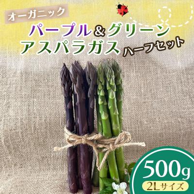 ふるさと納税 宇部市 オーガニック パープル&amp;グリーンアスパラガス ハーフセット 2L 500g