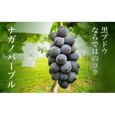 ふるさと納税 小布施町 【訳あり】シャインマスカット&ナガノパープル 約1.5kg 3〜5房 |  | 03