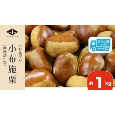 ふるさと納税 小布施町 小布施栗(無燻蒸生栗) 約1kg