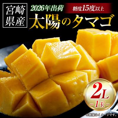 ふるさと納税 小林市 「1玉お試し」南国宮崎県産 太陽のタマゴ2L×1個