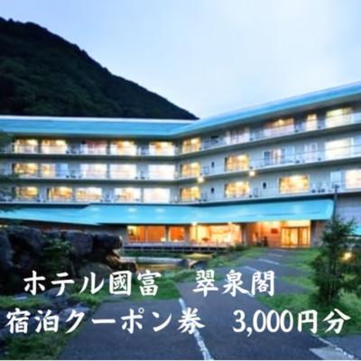 ふるさと納税 糸魚川市 ホテル国富 翠泉閣 宿泊クーポン券 3,000円分[新潟県 糸魚川市 温泉 源泉かけ流し ]