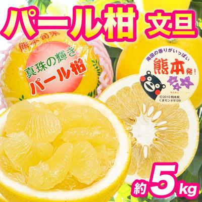 ふるさと納税 宇城市 パール柑 文旦 秀品 6〜18玉 約5kg(宇城市)