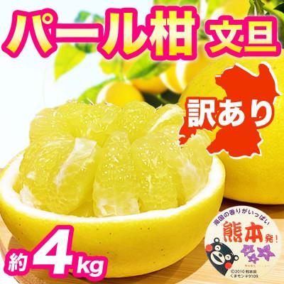 ふるさと納税 宇城市 パール柑 文旦 訳あり 約4kg(宇城市)