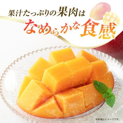 ふるさと納税 小林市 【ギフト・贈答】南国宮崎からお届け　完熟マンゴー2L×2個(小林市) |  | 02