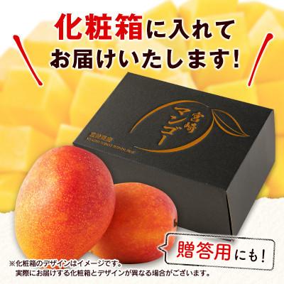 ふるさと納税 小林市 【ギフト・贈答】南国宮崎からお届け　完熟マンゴー2L×2個(小林市) |  | 03
