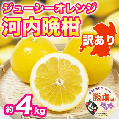 ふるさと納税 宇城市 河内晩柑(ジューシーオレンジ)みかん 訳あり 約4kg(宇城市)