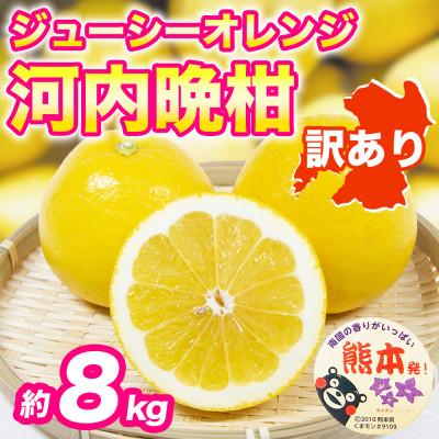 ふるさと納税 宇城市 河内晩柑(ジューシーオレンジ)みかん 訳あり 約8kg(宇城市)