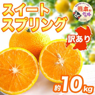 ふるさと納税 宇城市 スイートスプリング みかん 訳あり 約10kg(宇城市)