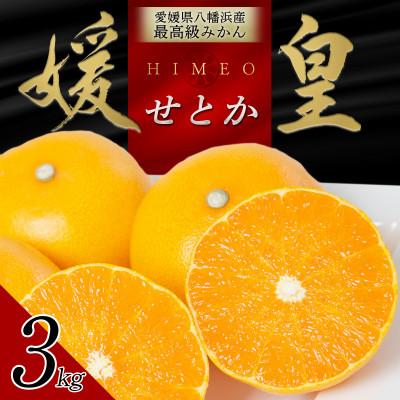 ふるさと納税 八幡浜市 [先行受付]最高級みかん 媛皇 せとか 3kg 愛媛県 八幡浜市 柑橘の女王[D25-308]