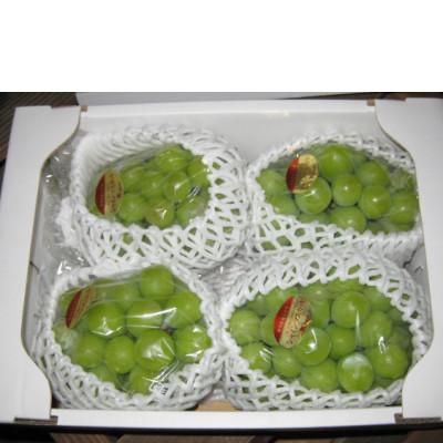 ふるさと納税 小豆島町 [8月31日(夏休み)までの期間限定企画!!]シャインマスカット 約1.9kg