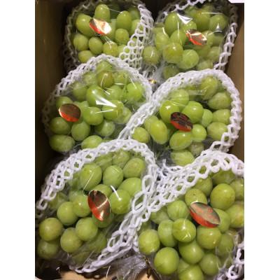 ふるさと納税 三木町 [8月31日(夏休み)までの期間限定企画!!]ご家庭用 シャインマスカット まんでがん 約4.9kg