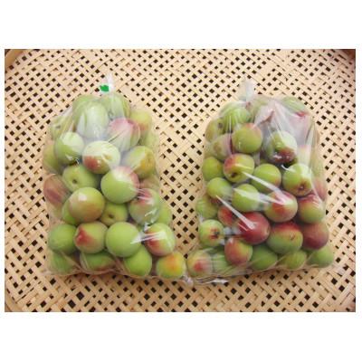 ふるさと納税 豊丘村 [農家直送]南高梅 2kg 長野県豊丘村産