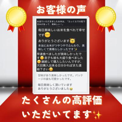 ふるさと納税 与謝野町 【令和7年産米】京都府与謝野町産 丹後コシヒカリ 精米20kg 特別栽培米 京の豆っこ米の画像