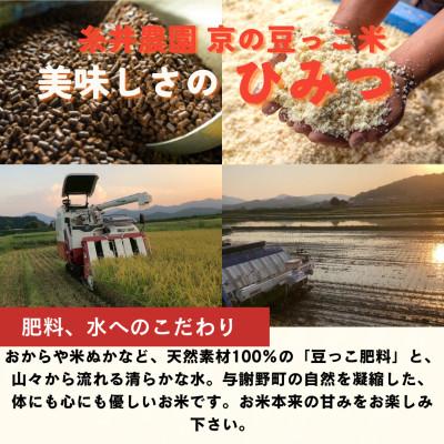 ふるさと納税 与謝野町 【令和7年産米】京都府与謝野町産 丹後コシヒカリ 精米20kg 特別栽培米 京の豆っこ米の画像