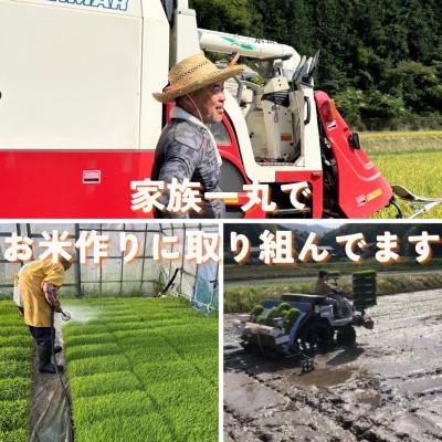ふるさと納税 与謝野町 【令和7年産米】京都府与謝野町産 丹後コシヒカリ 精米20kg 特別栽培米 京の豆っこ米の画像