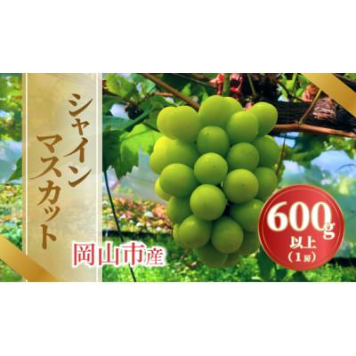 ふるさと納税 岡山市 [2026年発送]岡山市産シャインマスカット 600g以上 1房入