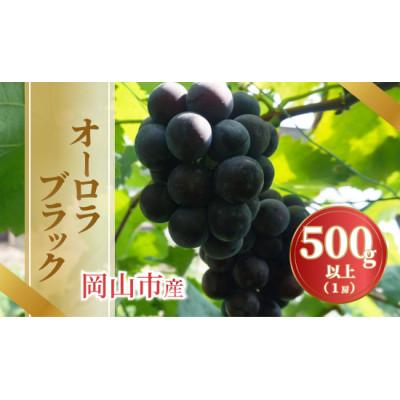 ふるさと納税 岡山市 [2026年発送]岡山市産オーロラブラック 500g以上 1房入