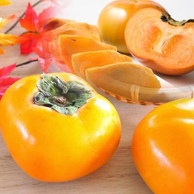 ふるさと納税 水俣市 水俣産 太秋柿 約2kg(水俣市)