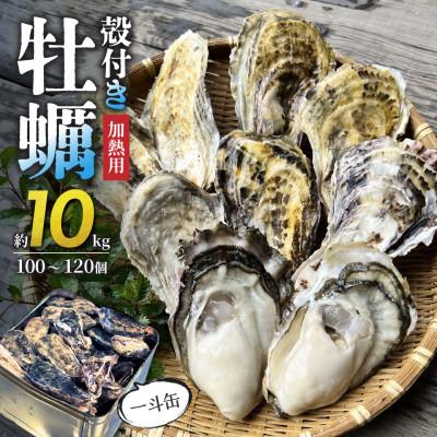 ふるさと納税 備前市 殻付き牡蠣(—斗缶)