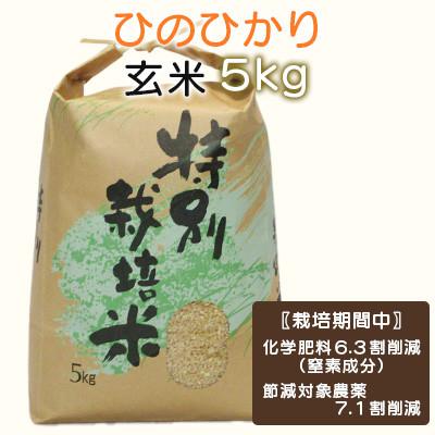 ふるさと納税 諫早市 [令和7年産]特別栽培米・九州のこだわり米「ひのひかり」玄米5kg