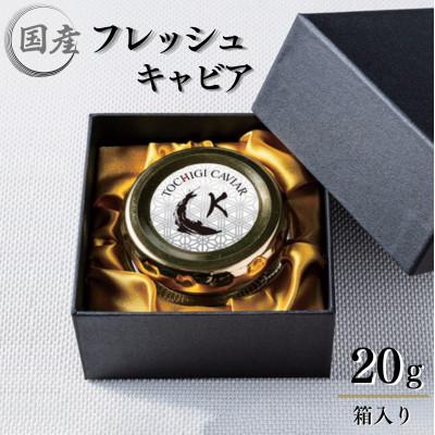 ふるさと納税 鹿沼市 フレッシュキャビア TOCHIGICAVIAR「K」 20g