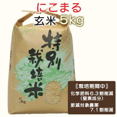 ふるさと納税 諫早市 [令和7年産]特別栽培米・九州のこだわり米「にこまる」玄米5kg