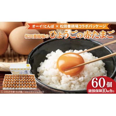 ふるさと納税 三木市 産地直送 松田養鶏場のひょうごの赤たまご60個(50個+割れ補償10個)