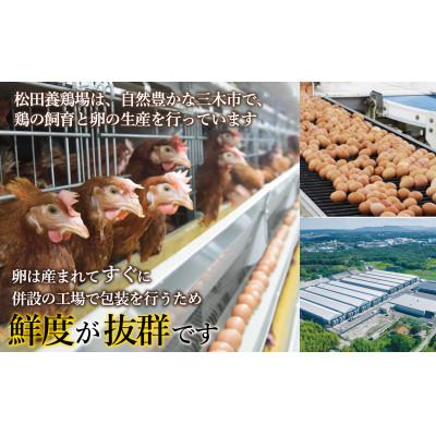 ふるさと納税 三木市 産地直送 松田養鶏場のひょうごの赤たまご60個(50個+割れ補償10個) |  | 01