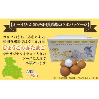 ふるさと納税 三木市 産地直送 松田養鶏場のひょうごの赤たまご60個(50個+割れ補償10個) |  | 03