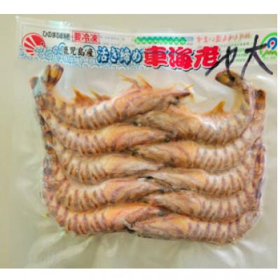 ふるさと納税 中種子町 活き〆冷凍車海老 ソフトシェル大 300g×1パック(10〜16尾入り)