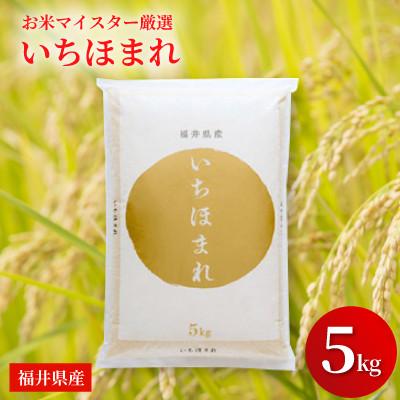 ふるさと納税 鯖江市 福井県産[令和7年産]いちほまれ 5kg