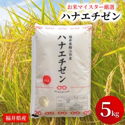 ふるさと納税 鯖江市 鯖江市産[令和7年産]ハナエチゼン 5kg
