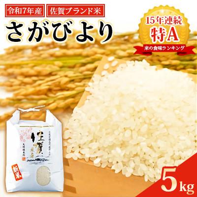 ふるさと納税 小城市 R7年産 佐賀ブランド米 さがびより5kg