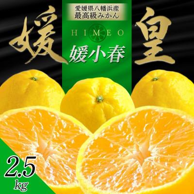 ふるさと納税 八幡浜市 最高級みかん 媛皇 媛小春 2.5kg 愛媛県 八幡浜市 希少な幻の柑橘 黄色[E25-320]