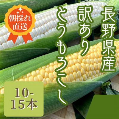 ふるさと納税 飯田市 [訳あり]とうもろこしサニーショコラ、ホワイトショコラ2色セット10-15本 5kg