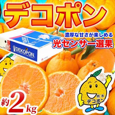 ふるさと納税 宇城市 [先行予約]熊本県 宇城市産 ブランド柑橘! 甘いジューシ! デコポン 5〜9玉 約2kg(宇城市)