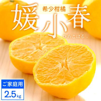 ふるさと納税 八幡浜市 [ご家庭用]媛小春 2.5kg 愛媛県 八幡浜市 西宇和地区 希少な幻の柑橘[C25-323]