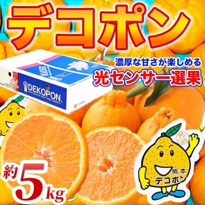 ふるさと納税 宇城市 [先行予約]熊本県 宇城市産 ブランド柑橘!濃厚な甘さ! デコポン 12〜24玉 約5kg(宇城市)