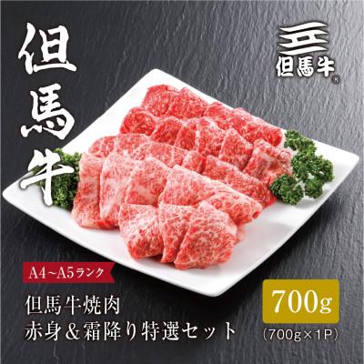 ふるさと納税 三木市 [但馬牛]焼肉 赤身&amp;霜降り 特選セット700g