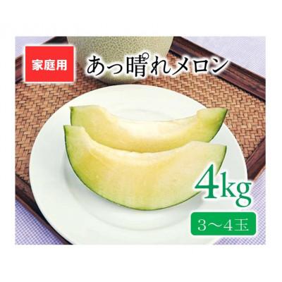 ふるさと納税 岡山市 [2026年7月〜順次発送][家庭用]あっ晴れメロン