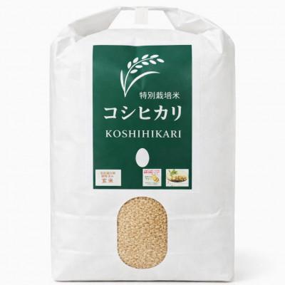 ふるさと納税 阿見町 茨城県特別栽培コシヒカリネオニコフリー玄米計5kg(04-30)