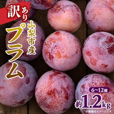 ふるさと納税 山梨市 【2027年発送先行受付】訳ありプラム(すもも) 約