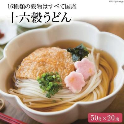 ふるさと納税 島原市 長崎県島原市 十六穀うどん 1kg